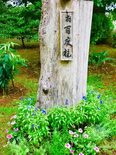 千勝神社のその他建物