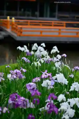 伊勢神宮外宮（豊受大神宮）(三重県)