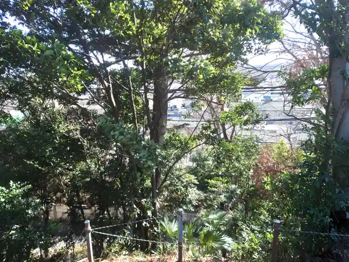 広瀬浅間神社(富士浅間宮)(埼玉県)