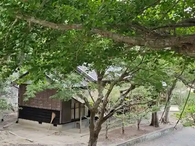 安房神社(千葉県)