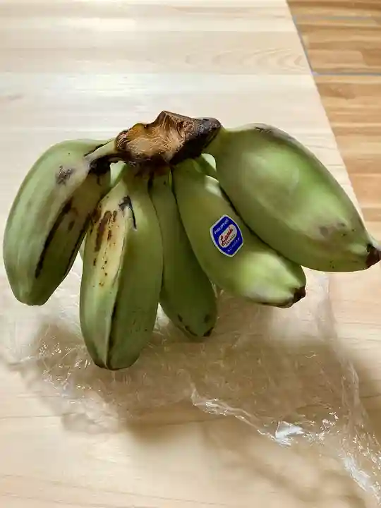 高平山遍照寺(静岡県)