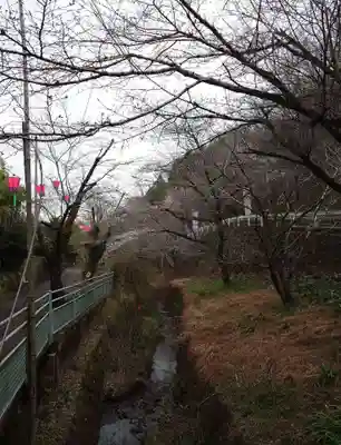 龍藏神社(神奈川県)