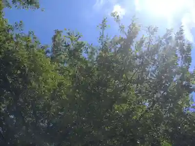 七郷神社(埼玉県)