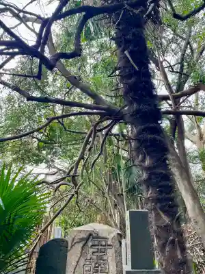 普門院の{uncategorized: "未分類", other: "その他", undefined: "問題あり", building: "その他建物", grave: "お墓", sacred_gate: "鳥居", guardian: "狛犬", statue: "像", buddha: "仏像", history: "歴史", nature: "自然", garden: "庭園", animal: "動物", pagoda: "塔", temizu: "手水舎", mountain_gate: "山門・神門", sanctuary: "本殿・本堂", subordinate: "末社・摂社", art: "芸術", scenery: "景色", jizo: "地蔵", ema: "絵馬", goshuin: "御朱印", omikuji: "おみくじ", items: "授与品その他", amulet: "お守り", goshuincho: "御朱印帳", eats: "食事", festival: "お祭り", votive_dance: "神楽", shichigosan: "七五三参", wedding: "結婚式", experience: "体験その他", initially: "初詣", around: "周辺", anti_infection: "感染症対策"}
