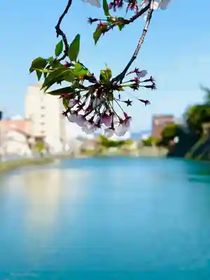 福井神社(福井県)