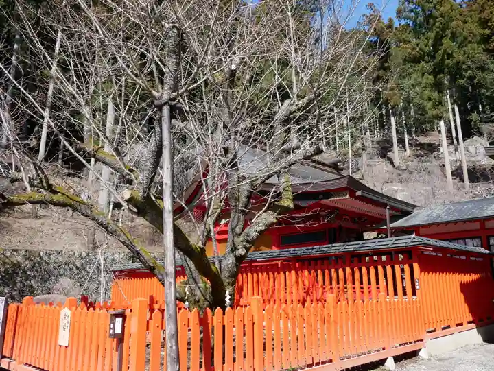 金櫻神社のその他建物