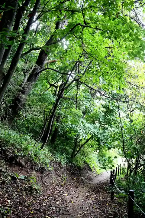 虻田神社の自然