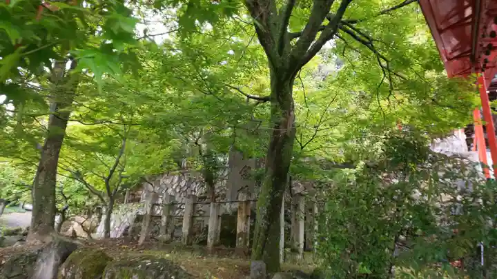 新宮神社の自然