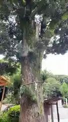 神明神社(三重県)