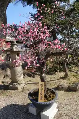 菅原天満宮（菅原神社）のその他建物