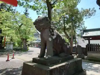 深志神社の狛犬