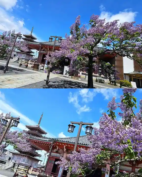 津観音(三重県)