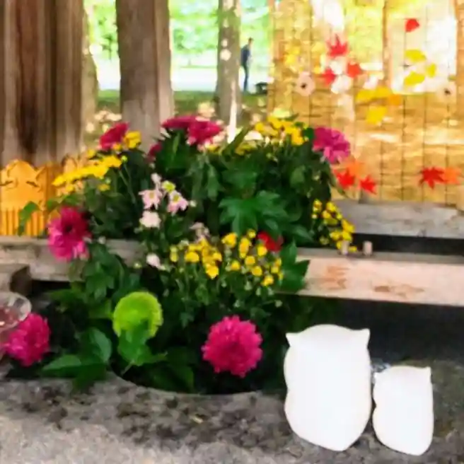 彌彦神社 (伊夜日子神社)の手水舎