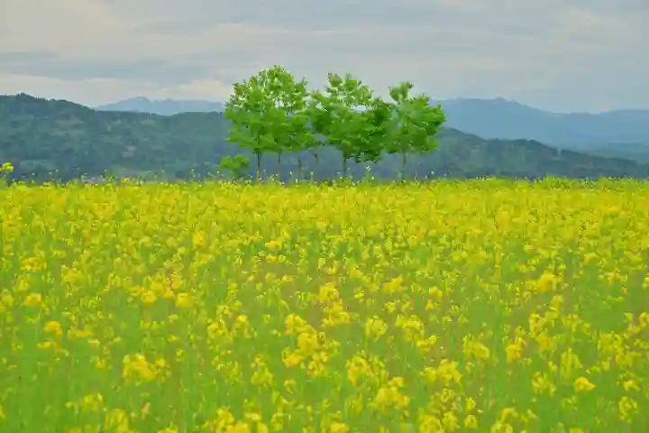 沢山神社(澤山神社)(新潟県)
