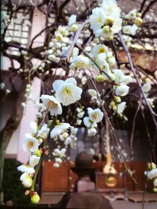 聖輪寺(東京都)