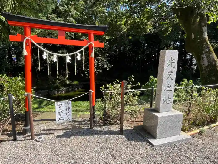 鷲宮神社(埼玉県)