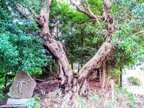 篭山神社のその他建物