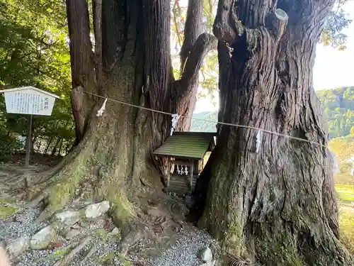 萩日吉神社(埼玉県)