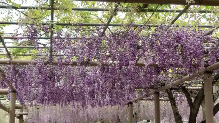 曼陀羅寺の庭園