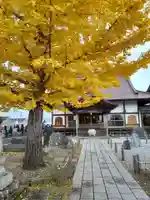 長泉寺の本殿・本堂