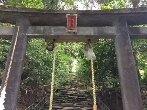 東霧島神社の鳥居