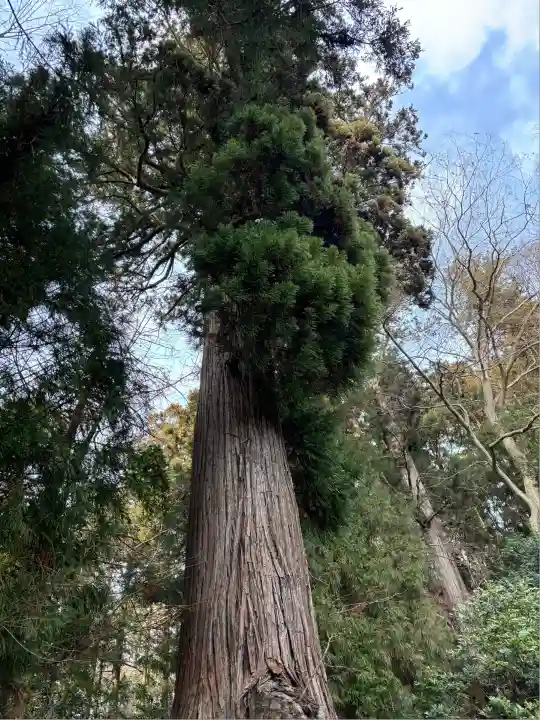 鹿嶋神社(福島県)