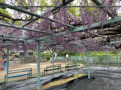 菖蒲神社(埼玉県)