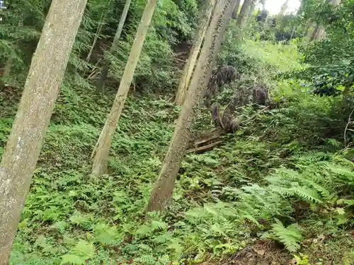 白山神社の周辺