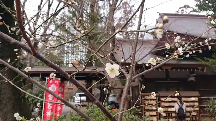 愛宕神社の自然