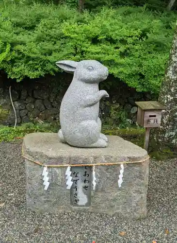 出雲大神宮の狛犬