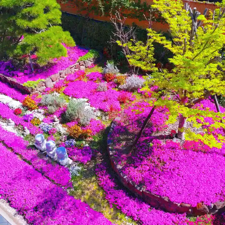 寿量山 速成寺(奈良県)