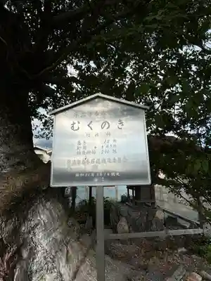 蔵林寺(京都府)