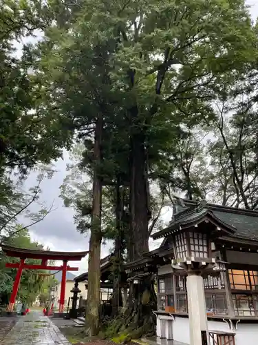 小室浅間神社のその他建物