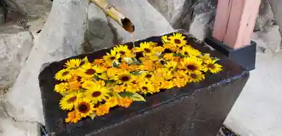 差出磯大嶽山神社 仕事と健康と厄よけの神さまの手水舎