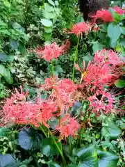 本郷氷川神社(東京都)