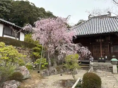 満願寺(兵庫県)