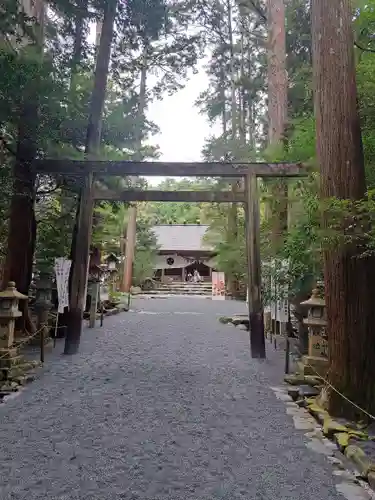椿大神社(三重県)