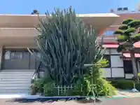 蓮光寺(神奈川県)