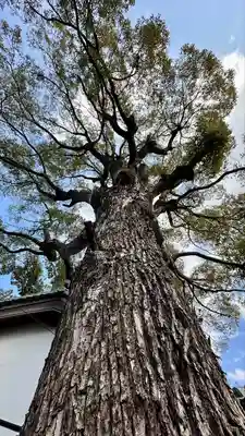 彌刀神社(大阪府)