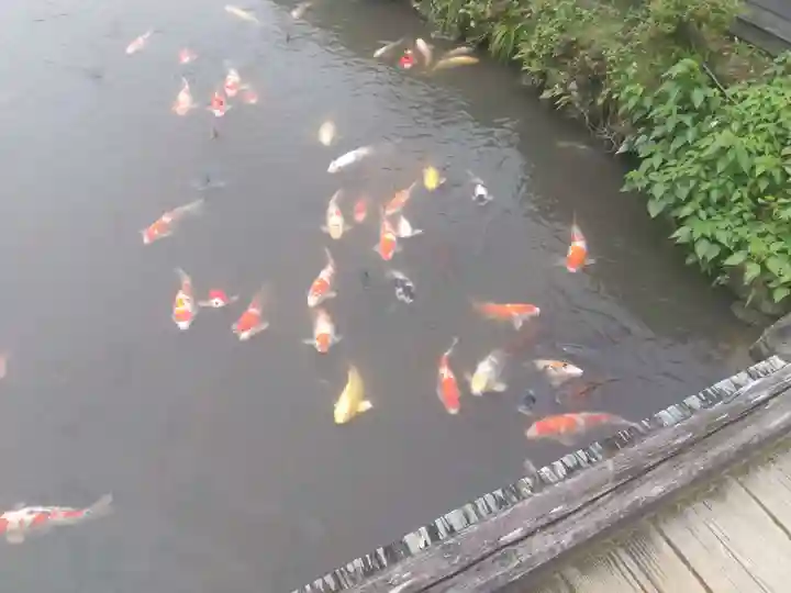 朝倉神社(福井県)