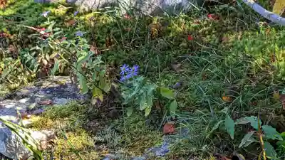 実光院(京都府)