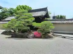 観智院（東寺子院）(京都府)