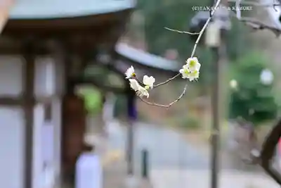 永谷天満宮(神奈川県)