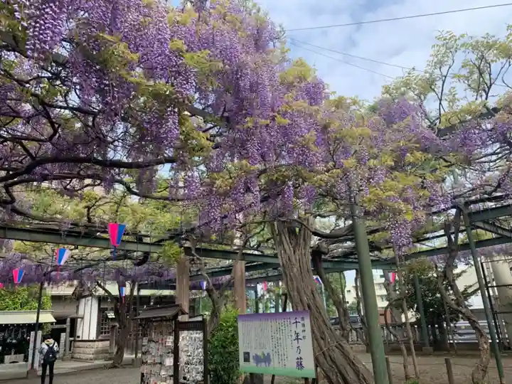 國領神社の庭園