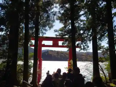 箱根神社(神奈川県)