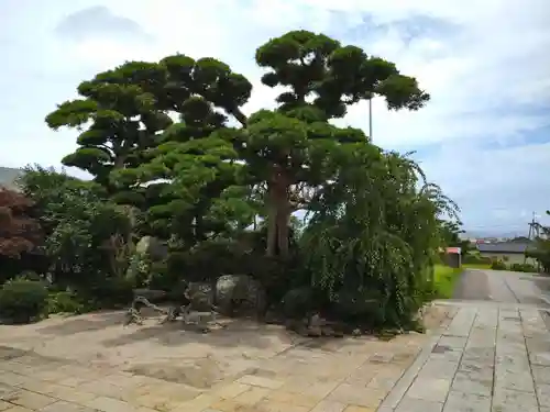 能蔵院の庭園