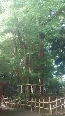 大國魂神社(東京都)