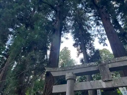 大宮温泉神社(栃木県)