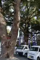 加藤神社(熊本県)