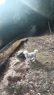 徳楽寺(山梨県)